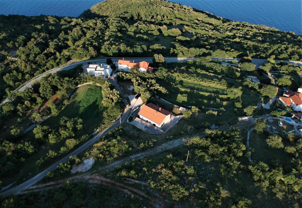 Guesthouse Villa Brestova 普罗明 外观 照片